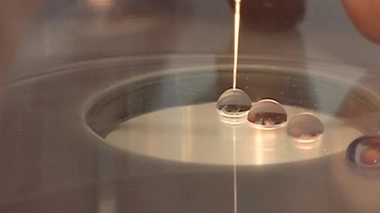 Les ovules sont vitrifiés dans de l’azote liquide à –196°