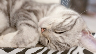 Changement d’heure : vite, au lit !