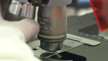 Bactéries multirésistantes : des milliers de morts chaque année