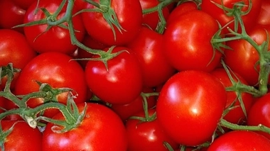 (cc-by-sa Whoisjohngalt)