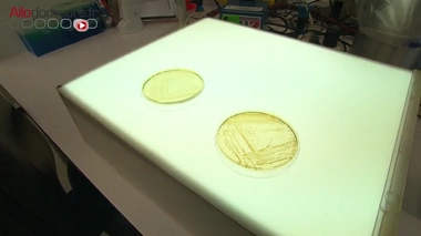 Comment les hôpitaux luttent-ils contre les infections nosocomiales ?