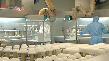 Une autorisation de mise sur le marché pour les dispositifs médicaux "à risque" ?