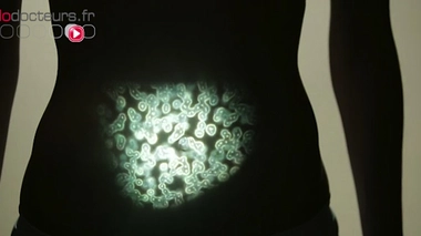 Les chercheurs ont analysé l'ADN du microbiote intestinal de 1165 personnes en bonne santé de différents pays