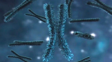 Le syndrome de Turner, l'absence de chromosome X