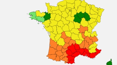 Allergies aux pollens : le sud de la France en alerte rouge