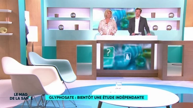 Sujet diffusé le 26 février 2019