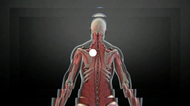 "Mal de dos : prenez soin de vous !", à suivre ce soir à 20h50 sur France 5