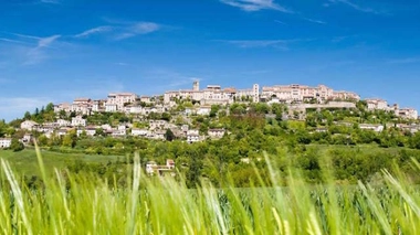 Le Tarn sera-t-il le premier département sans perturbateurs endocriniens ?