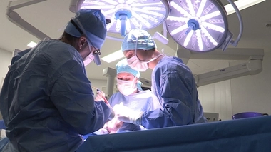 ORL : une chirurgie aux multiples visages