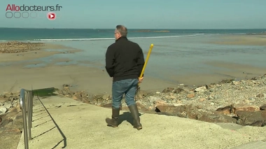 Des vers marins pour améliorer les greffes d'organes
