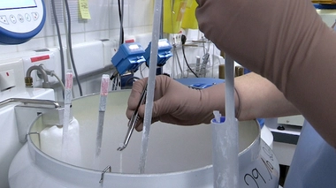 Pays-Bas : l'ex-directeur d'une banque de sperme est le père de 49 enfants