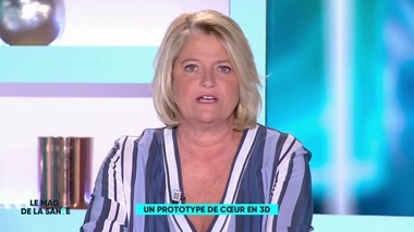 Un prototype de coeur 3D - Les explications de Marina Carrère d'Encausse et Fabien Doguet