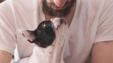 Une barbe abrite plus de bactéries que les chiens