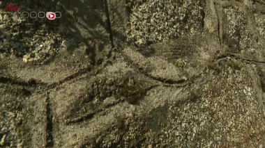 Cancer : gaz radon et tabac ne font pas bon ménage 