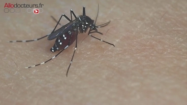 Le moustique tigre gagne du terrain