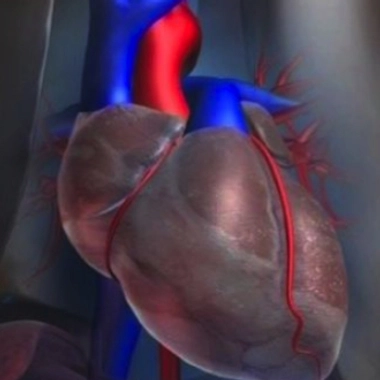 Prendre son coeur en main