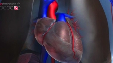 Prendre son coeur en main