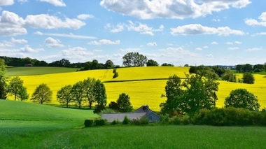 L’obésité et le surpoids n'épargnent plus les campagnes