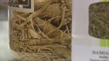 Traditionnellement consommé en Chine, le ginseng peut être consommé directement sous forme de racine à mâcher.