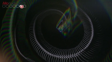 L'exposition sera visible au musée de la préhistoire de Nemours jusqu'à fin septembre 2019.