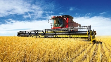 Les fongicides à base d'époxiconazole bientôt retirés du marché