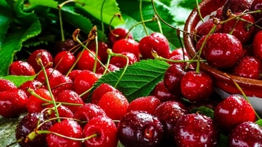 Les trois quarts des fruits non bio sont contaminés aux pesticides