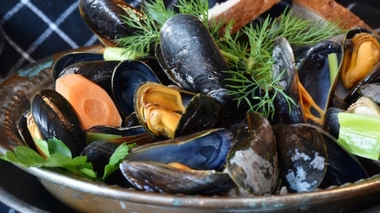 Rappel de moules contenant des toxines paralysantes