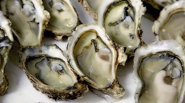 Rappel d’huîtres contaminées aux salmonelles