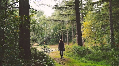 Eau qui coule ou chants d’oiseaux : écouter la nature est bon pour la santé