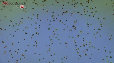 Sujet diffusé le 17 juin 2019