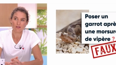 Piqûres, morsures… stop aux idées reçues !