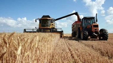 Suicide : les agriculteurs plus à risque