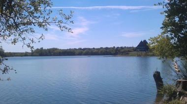 Cyanobactéries : baignade interdite dans un lac d’Angers