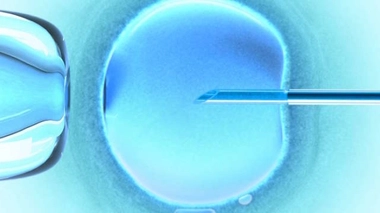 FIV : après un échec, une femme sur six procrée naturellement dans les cinq ans
