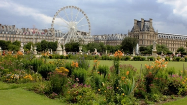 Cinq grandes villes interdisent les pesticides sur leur territoire