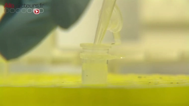 Cancer du sein : une grande étude européenne pour améliorer le dépistage