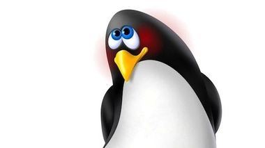 Je suis timide, mais je me soigne (Photo © Piumadaquila - Fotolia.com)