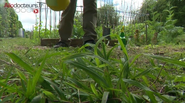 75 % des Français utilisent des pesticides chez eux