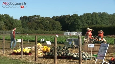 Radis noirs : deux recettes pour retrouver une bonne digestion