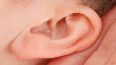 Araignée du matin, chagrin… dans l’oreille !