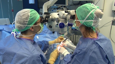 Cancer de l'oeil : quels traitements ?