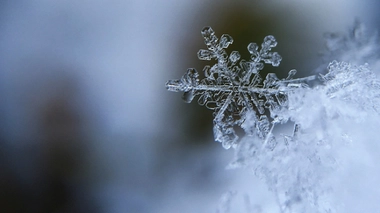 A sept ans, Tommy est "allergique à l’hiver"