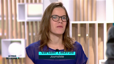 La colère d’une dizaine d’éleveurs français contre des installations électriques