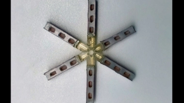 Aspect "en étoile" de la pilule mensuelle une fois dépliée dans l'estomac.