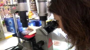 Immunothérapie, Crispr/Cas9... retour sur quelques grandes avancées médicales de la décennie