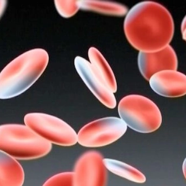 À quoi servent les anticoagulants ?