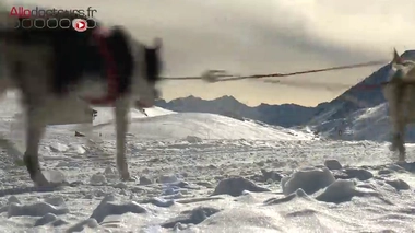 La Grande Odyssée : "ce que j'adore (...) c'est la communion avec les chiens"