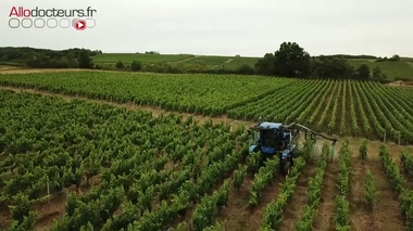 52 pesticides sont présents dans l’air, selon Générations Futures