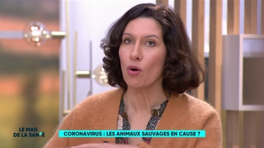 Coronavirus : les animaux sauvages en cause ?