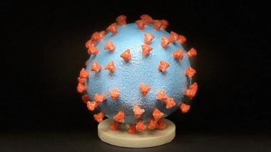 Covid-19 : hospitalisations et réanimations toujours en hausse